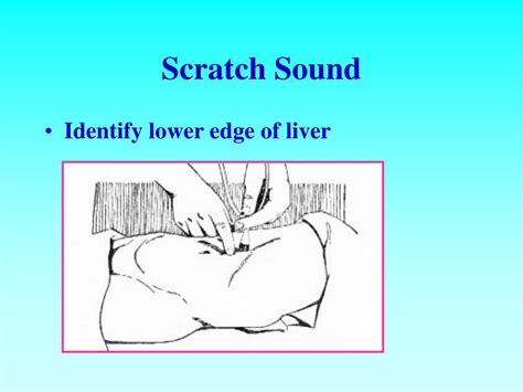 scratch test in abdomen